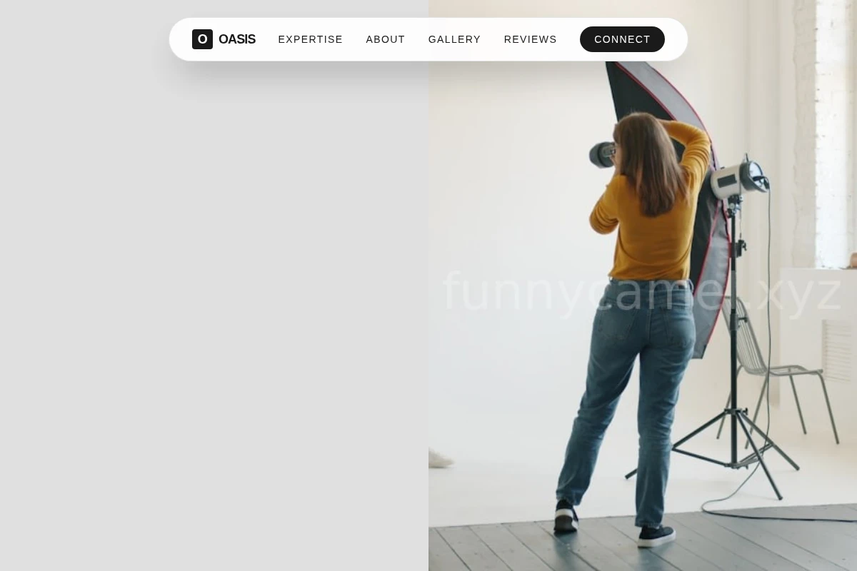 Vivid Creative Direction