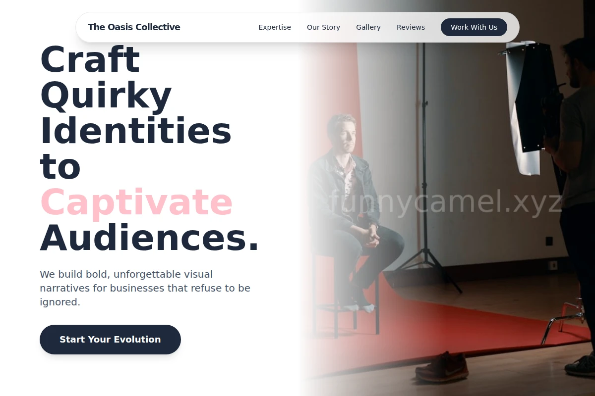 Vivid Creative Direction